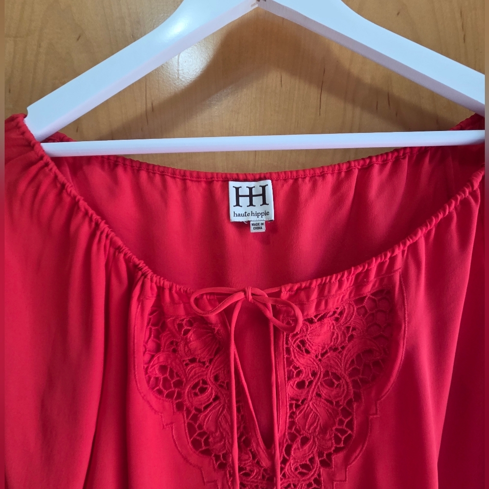 Haute Hippie Embroidered Silk Dress - Picture 3 of 5